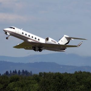 Biofuel Surrogates for Transportation Fuels