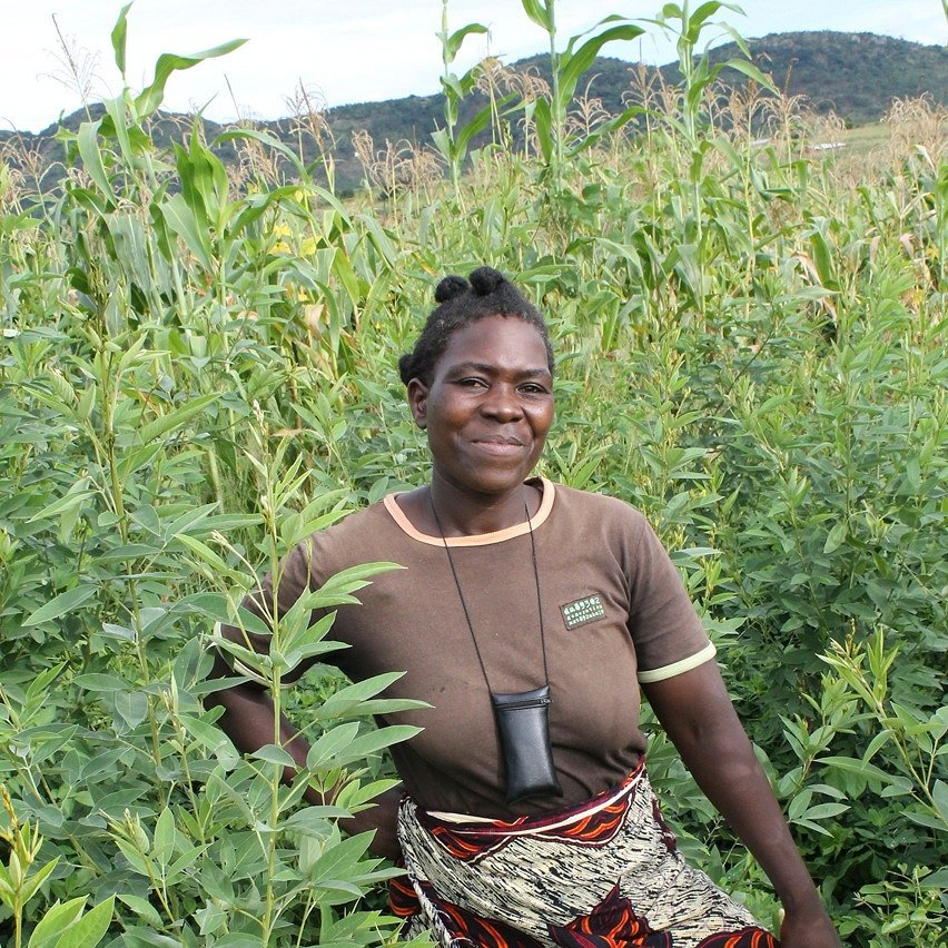Healthy Soil + Fertile Land + Food Security