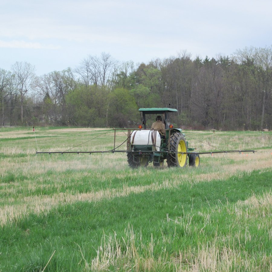 Reassessing Roundup