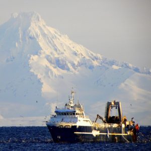 Wild Seafood, Healthy Harvest