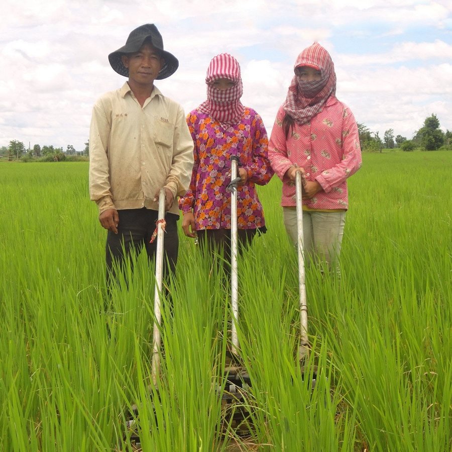 New Tech for an Ancient Food