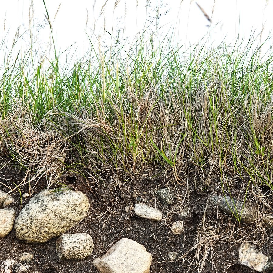 Making the Most of Marginal Lands