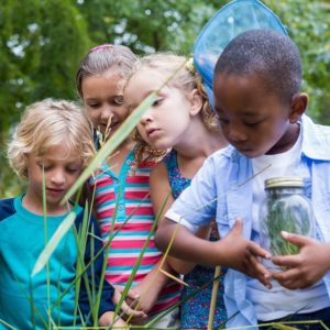 Opening the Door to Nature-Based Engagement