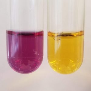 Mining Rare Earth Elements with Engineered Microorganisms