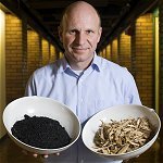 Environmental, Energetic and Economic Potential of Biochar