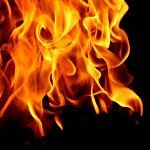 Micropowdered Biomass Combustion