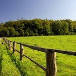 Assessing Carbon Sequestration in Complex Agricultural Landscapes