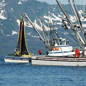 Strategies for Climate-Ready Fishing Communities: Optimal Fishing Portfolios for Changing Ocean Ecosystems