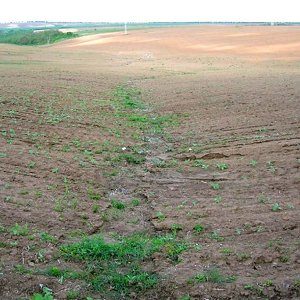 Soil Health Assessment, Management, and Policy to Support Sustainable Land Management in China