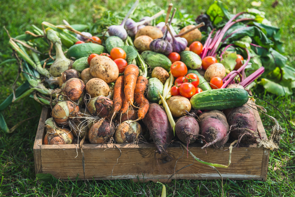 Cornell Atikinson - Food Security