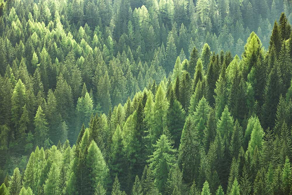 Cornell Atkinson - Conservation Finance