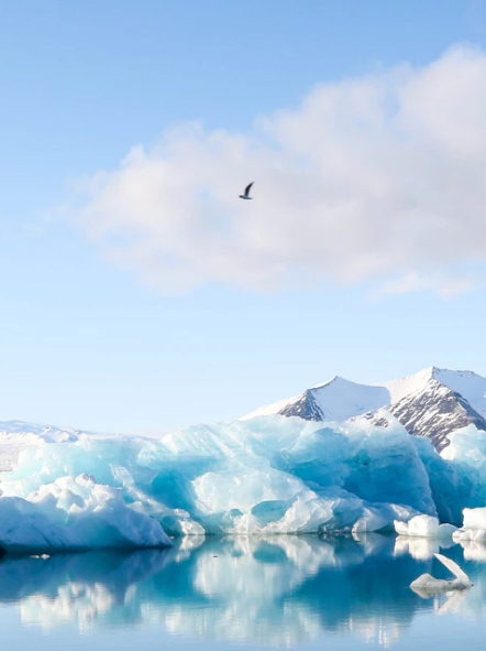 Reducing Climate Risk