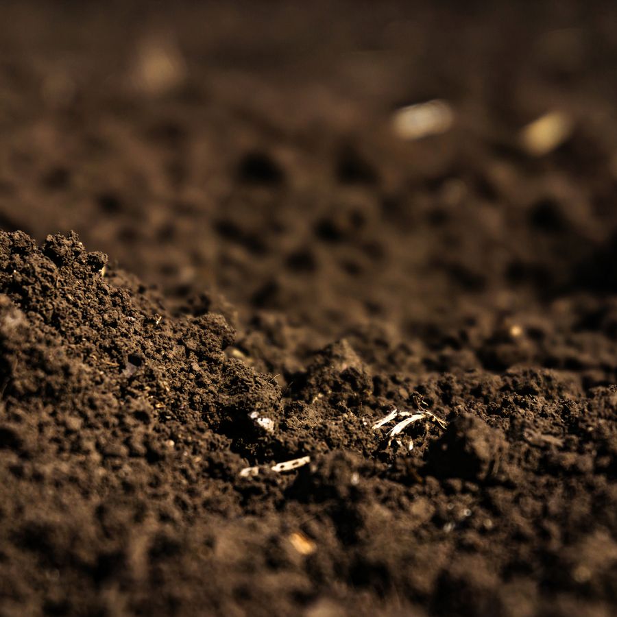 Soil