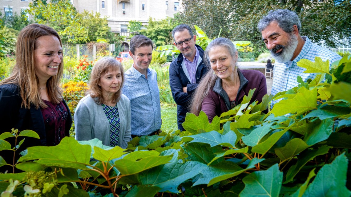researchers for new center