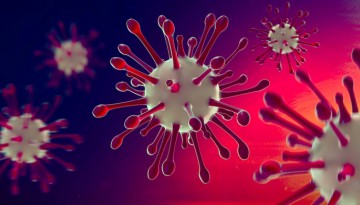 virus