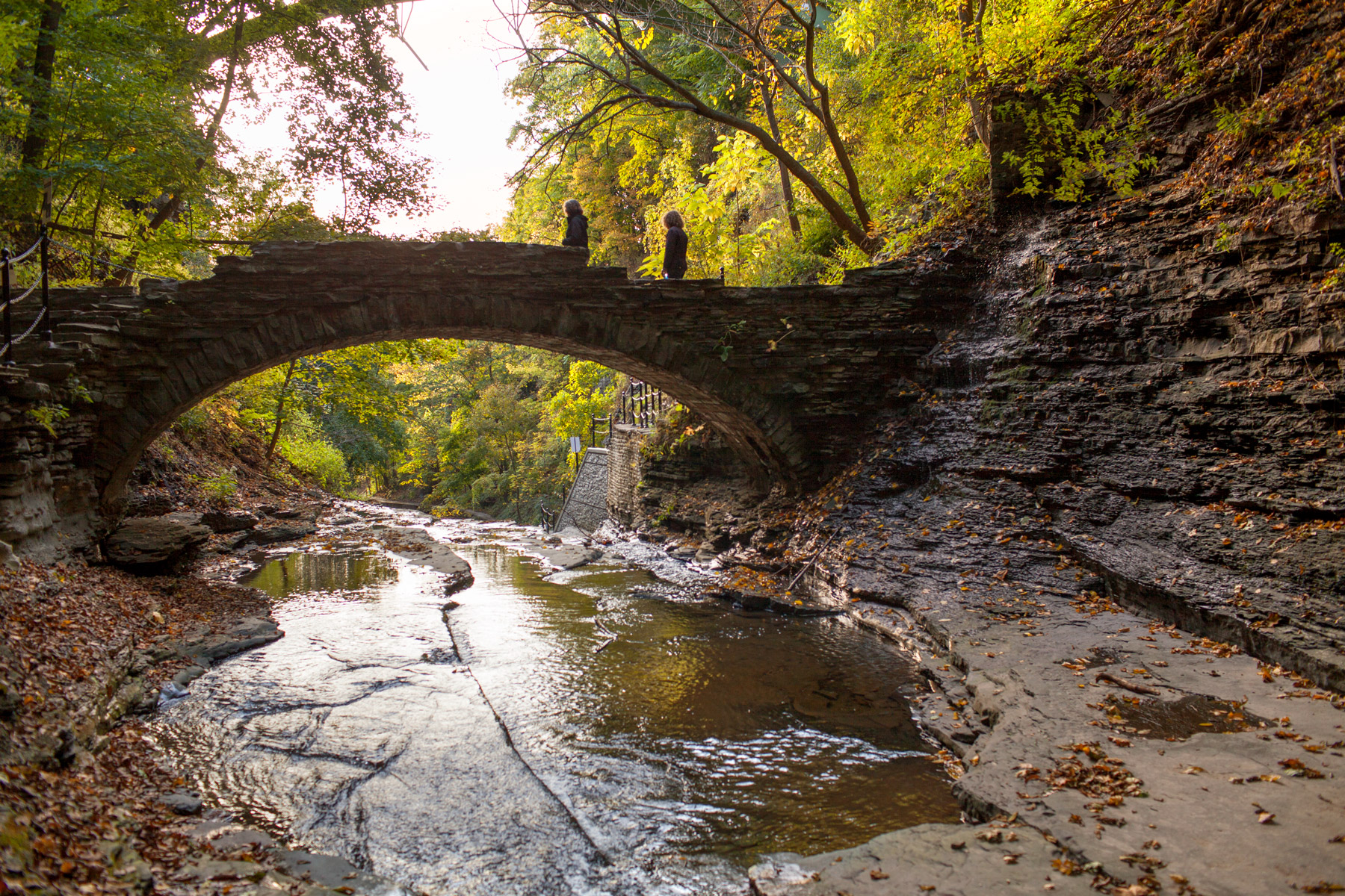 Bridge at Beebe Lake