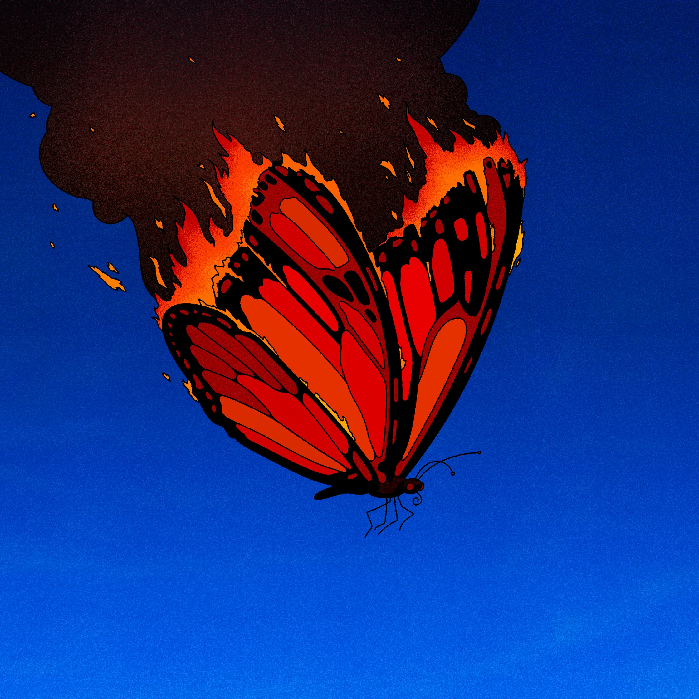 Butterfly on fire