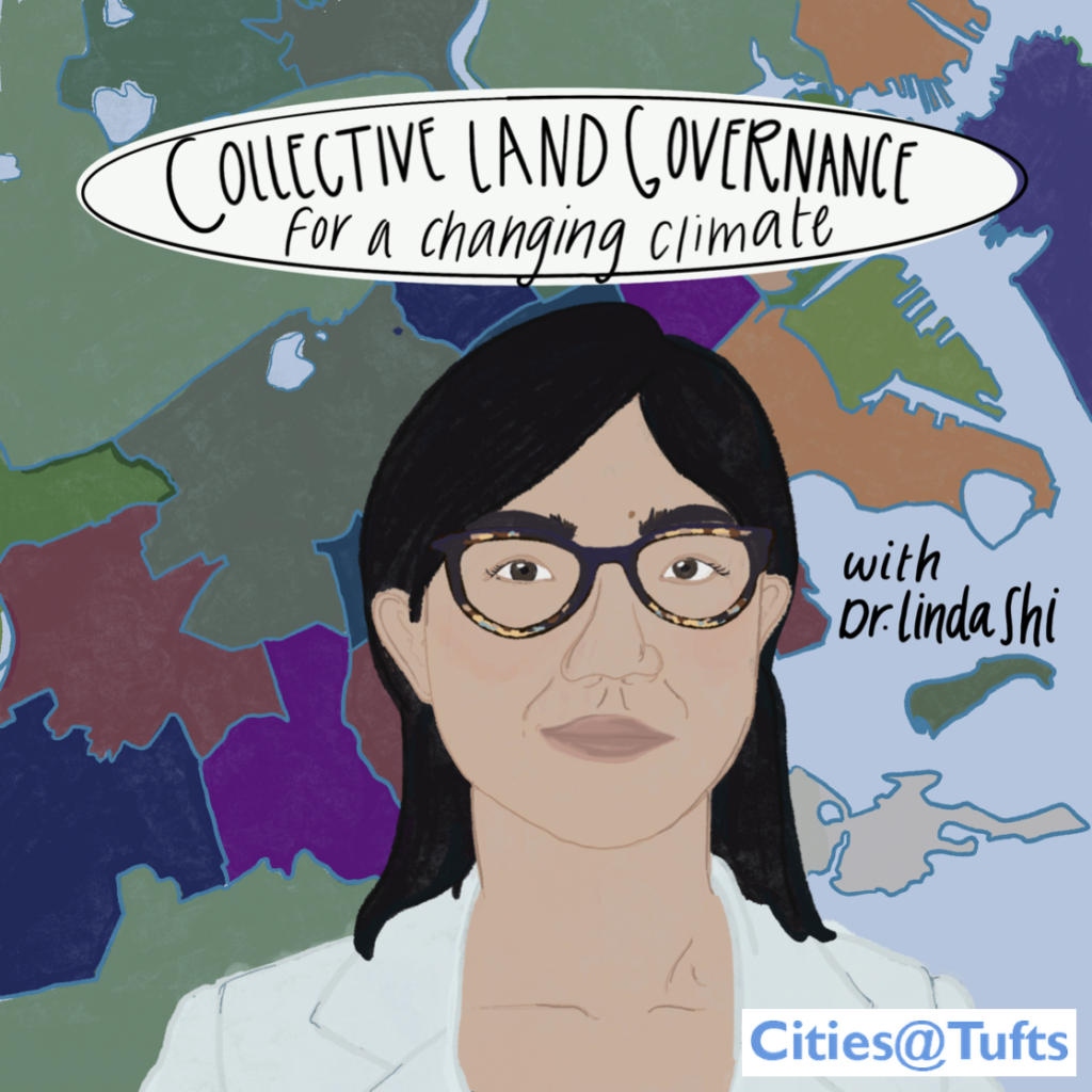 collective land governance