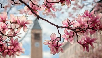 spring scenic