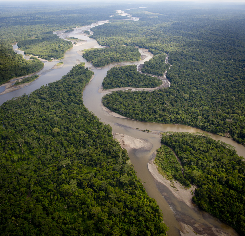 amazon river