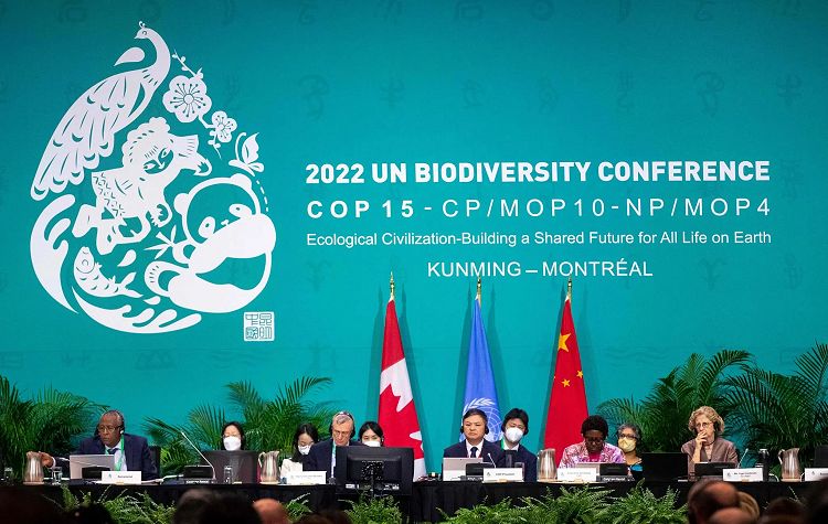 Negotiators at COP15