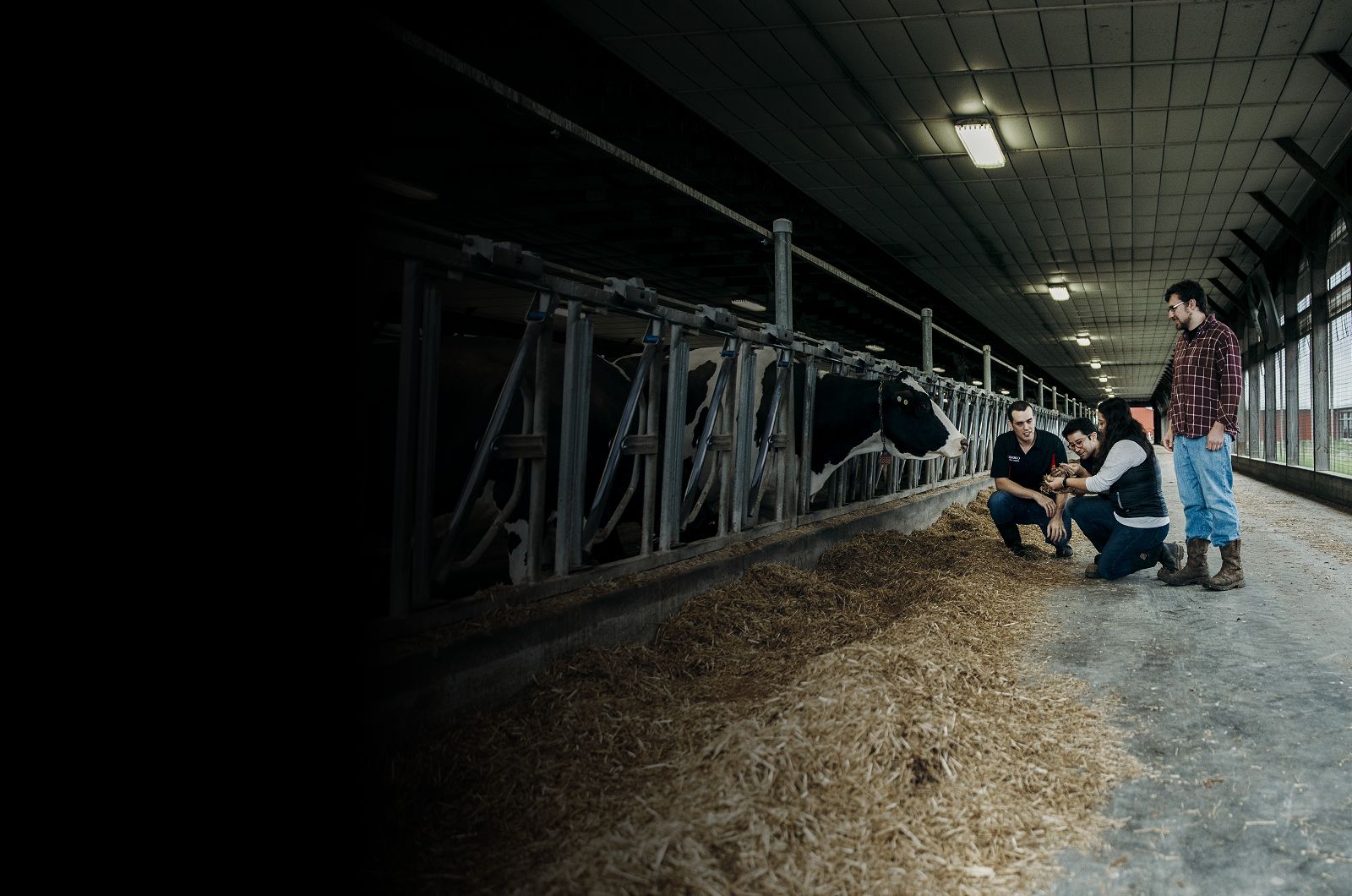 Joe McFadden and students with cow
