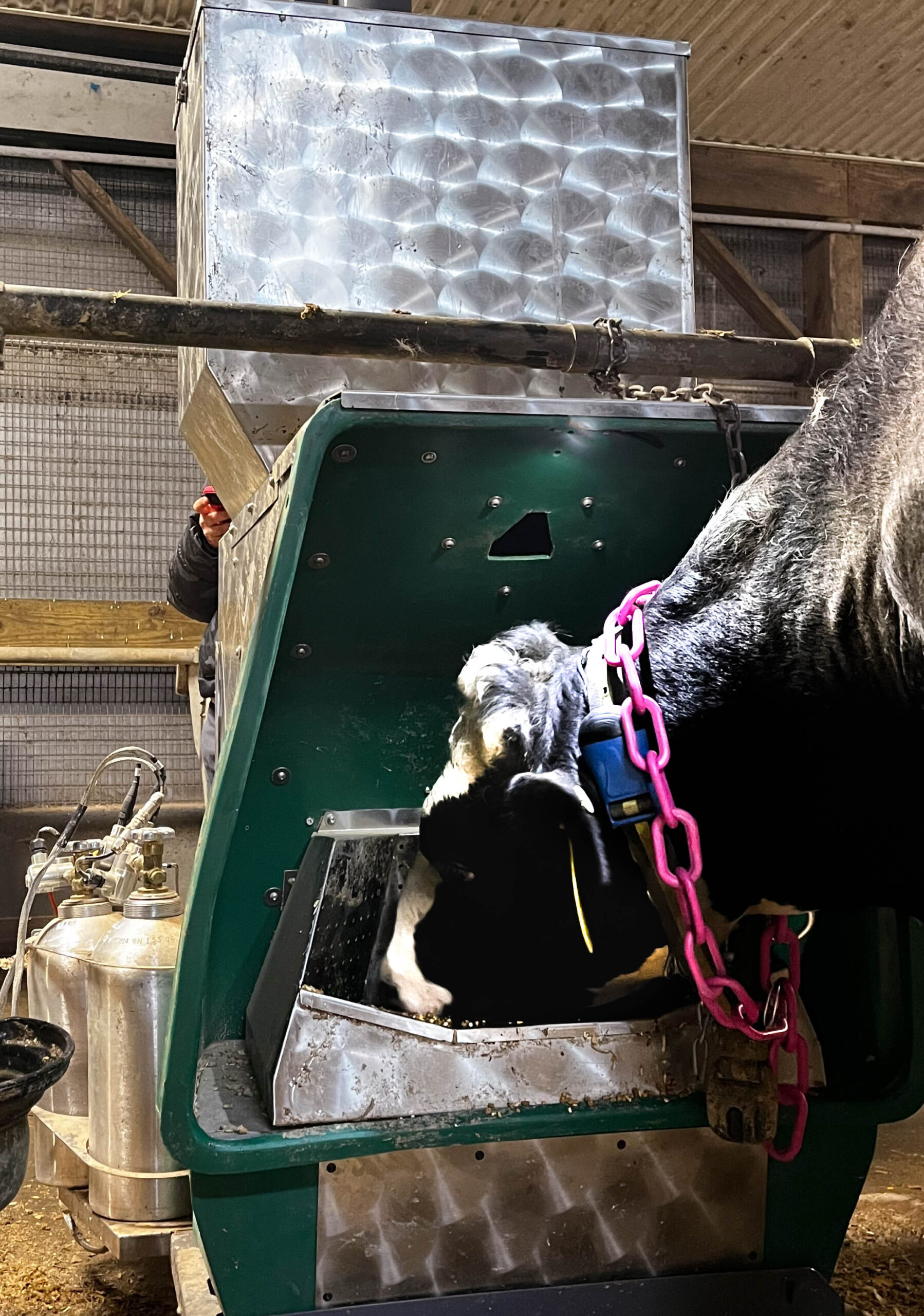 GreenFeed at Ruminant Center