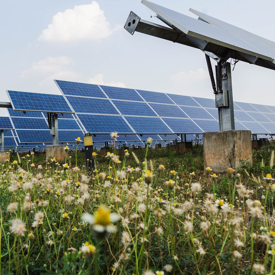 solar panels in agricultural land