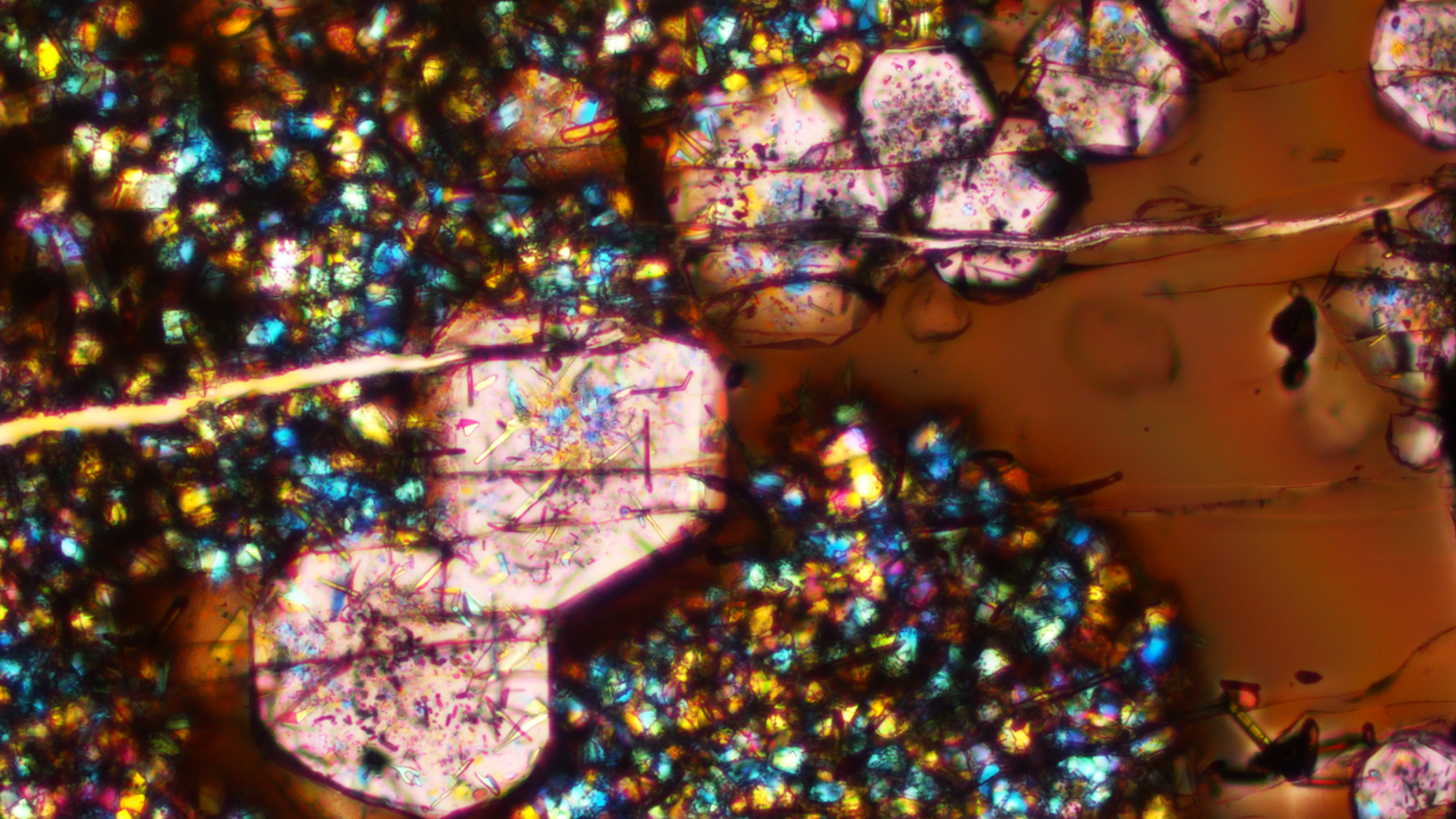 A microscope image from an experiment conducted for a study on continental crust. The image contains glass (brown), large garnets (pink), and other small mineral crystals. The field of view is 410 microns wide, about size of a sugar crystal. G. Macpherson and E. Cottrell, Smithsonian.