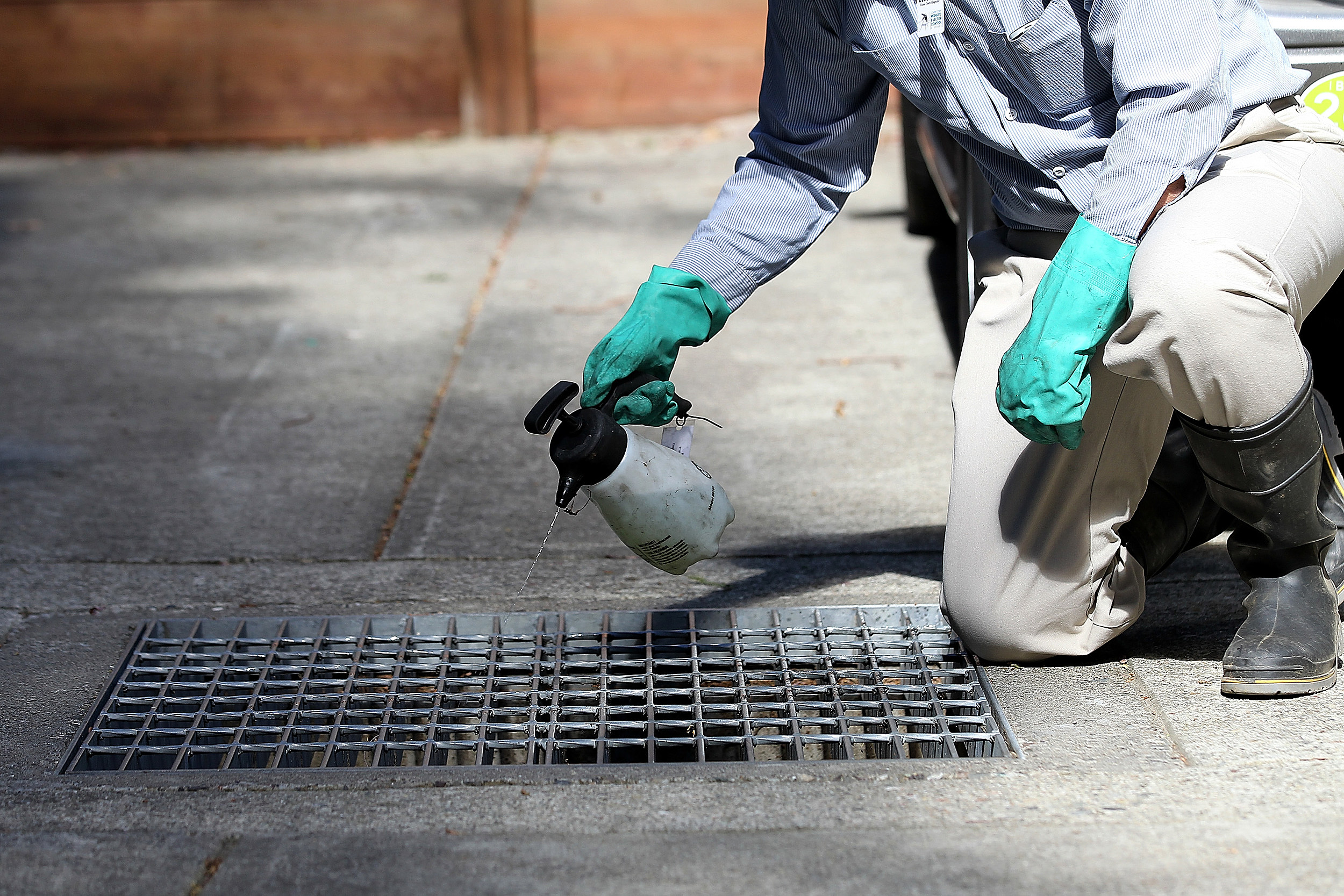 Spraying drainage grate with pesticide