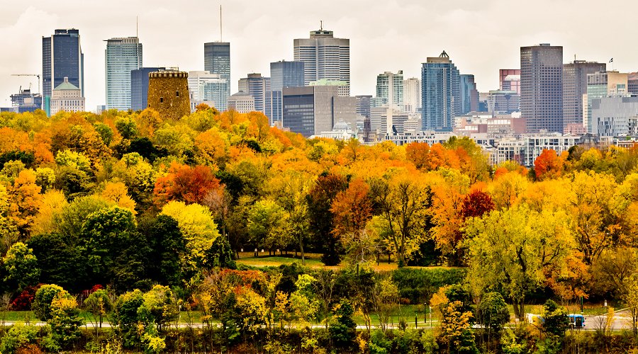 Downtown Montreal skyscrapers and trees in autumn