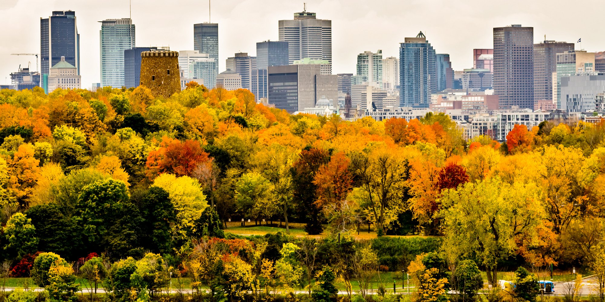 Downtown Montreal skyscrapers and trees in autumn