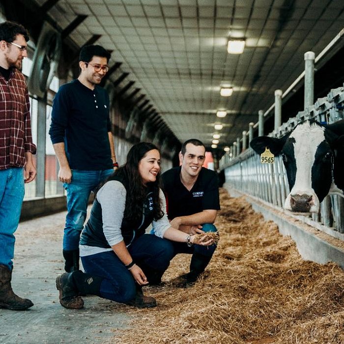 Joe McFadden and research group pose with a cow