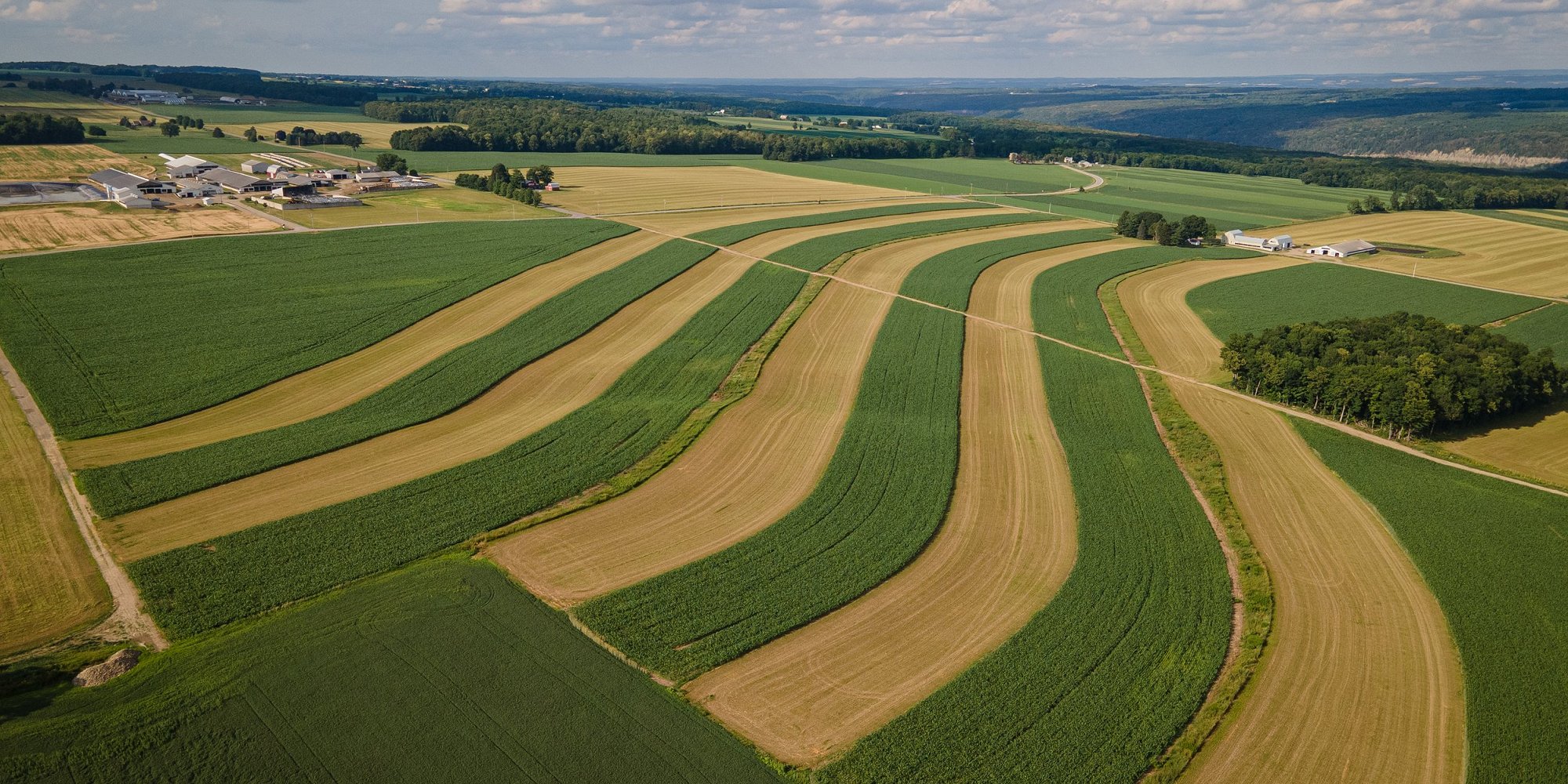 Alternating rows of tilled land