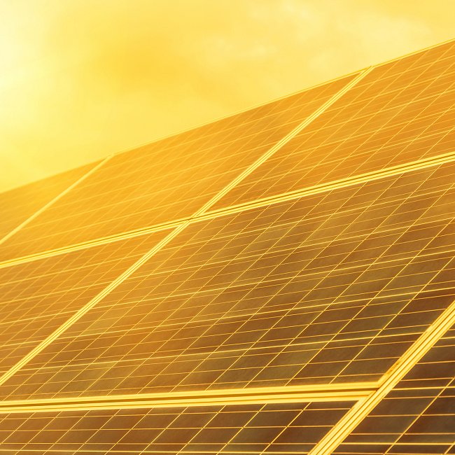 Sun reflecting off rows of solar panels