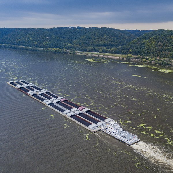 Algal blooms shown alongside barge floating down the Mississippi River
