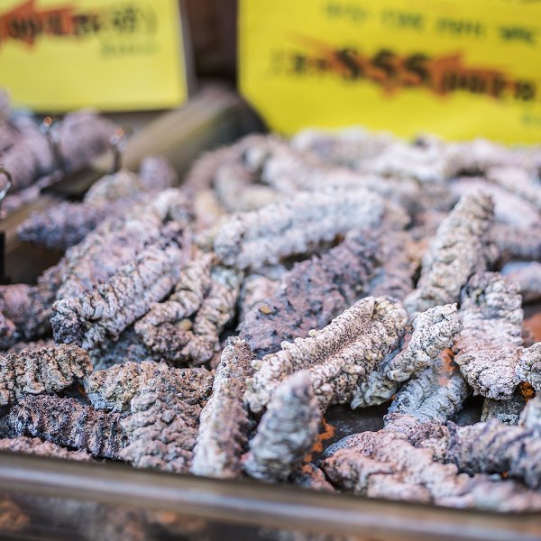 Dried trepangs, sea cucumbers, at street market in Chinatown. New York City (iStock)
