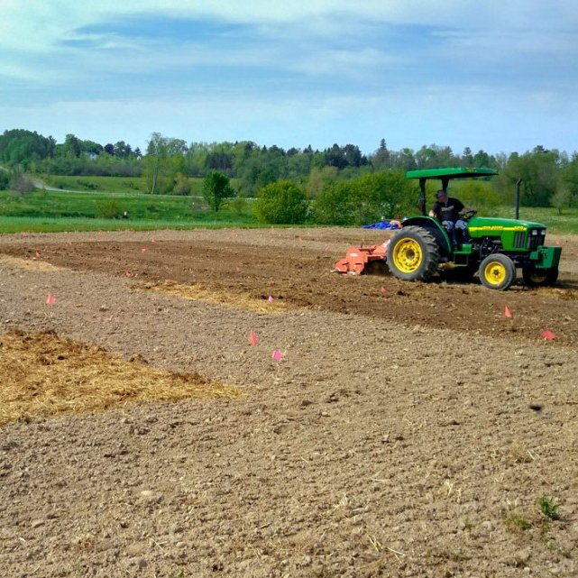 A farm worker prepares a field for planting (Maria Gannett/Provided)