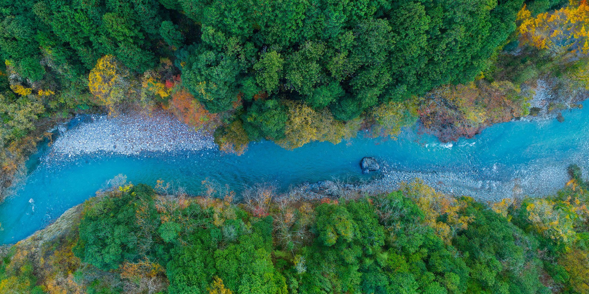Aerial photo of river running through woods (iStock)