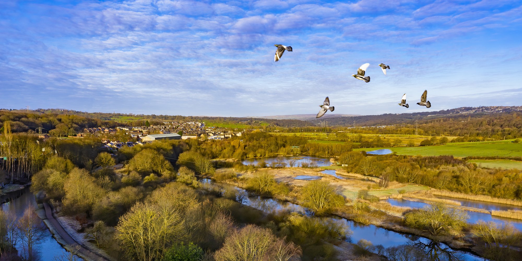 Birds flying over wetlands (iStock)