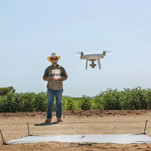 A researcher flies a drone over the CROPPS experimental fields in Arizona. Credt: Davis De Dios Media