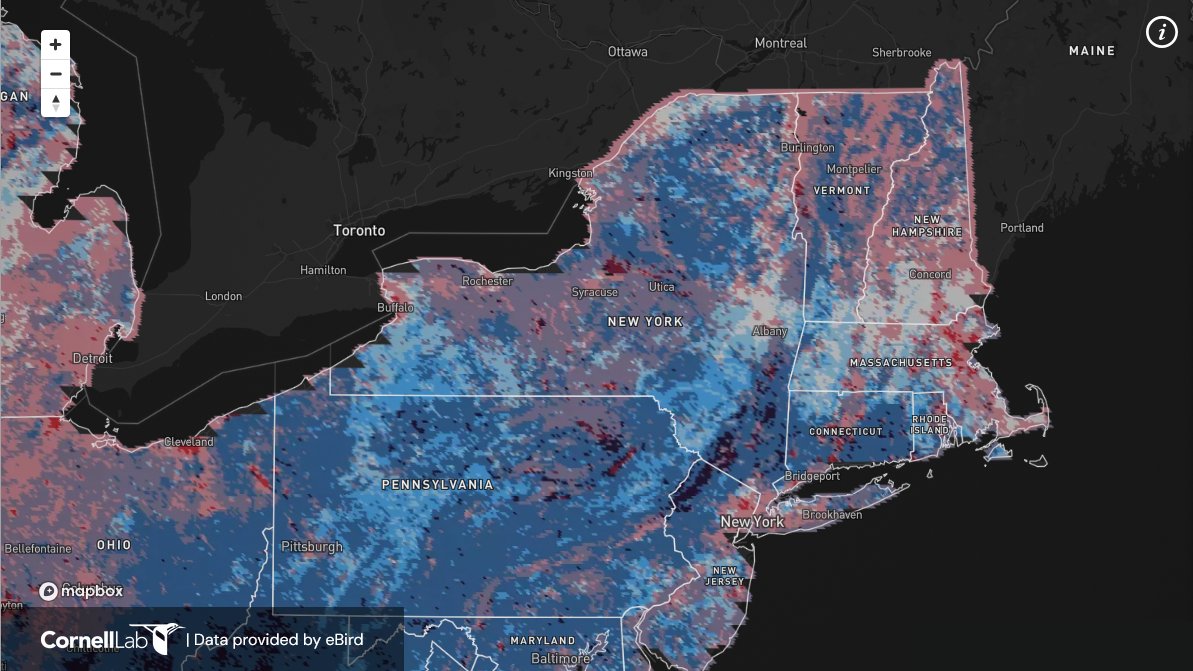 The Wild Bee Prediction Tool uses eBird data from the Cornell Lab of Ornithology to track and estimate the diversity of wild bees.