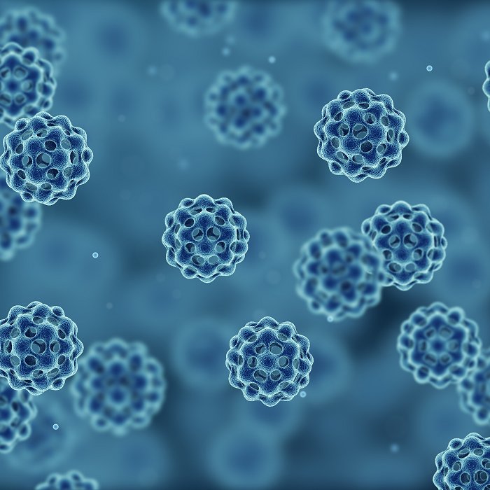 Illustration of bacterial cell or virus, 3d generated view from microscope (iStock)