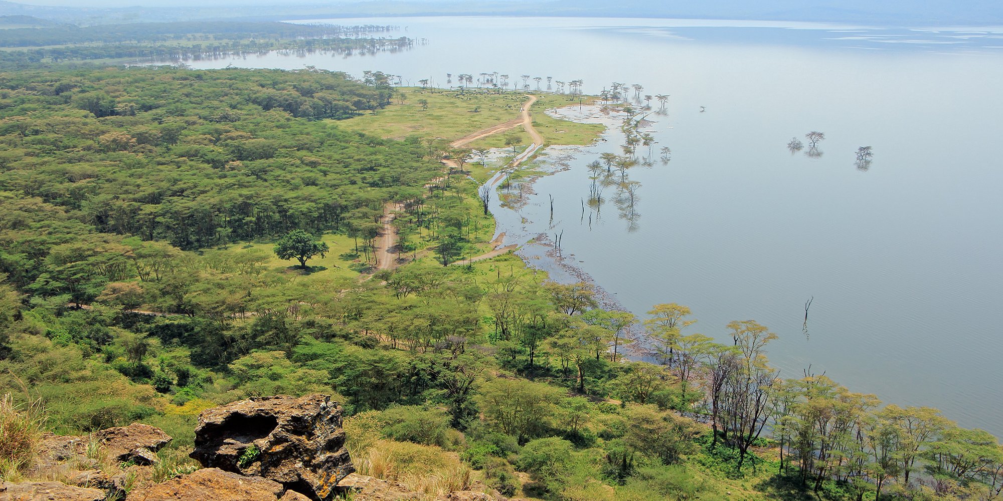Aerial view of Lake Nakuru in Kenya (Canva)
