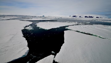 Sheet of ice breaking apart