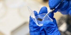 Research working with John Marohn pulls a perovskite crystal from its protective casing. (Ryan Young/Cornell University)
