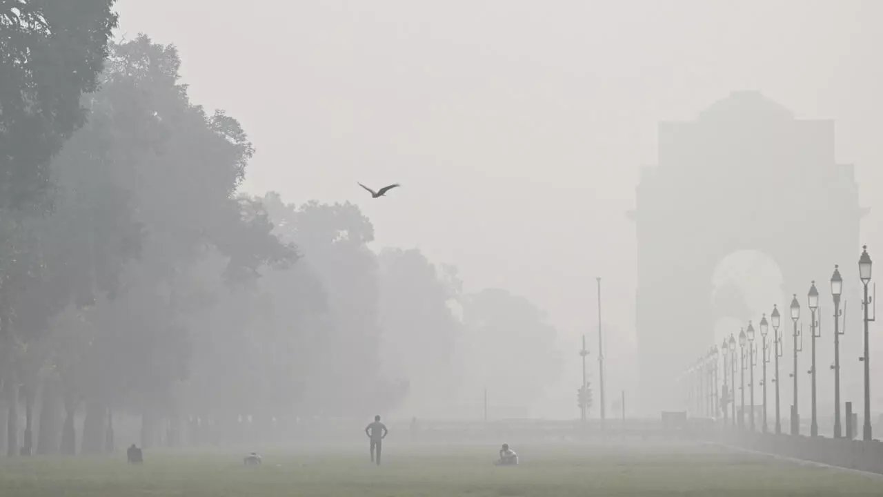 Each winter, thick smog chokes New Delhi and its 30 million residents © Arun SANKAR / AFP