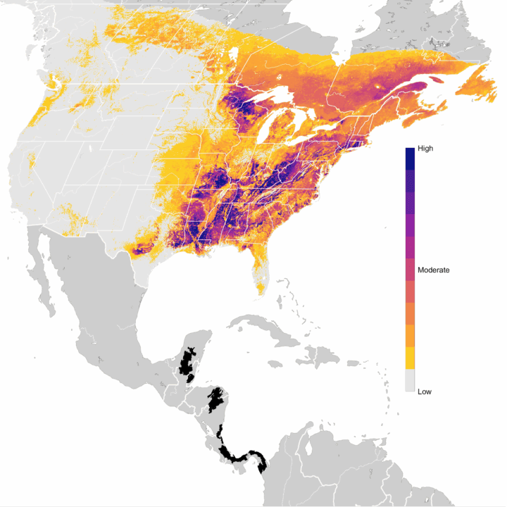 Migratory bird map
