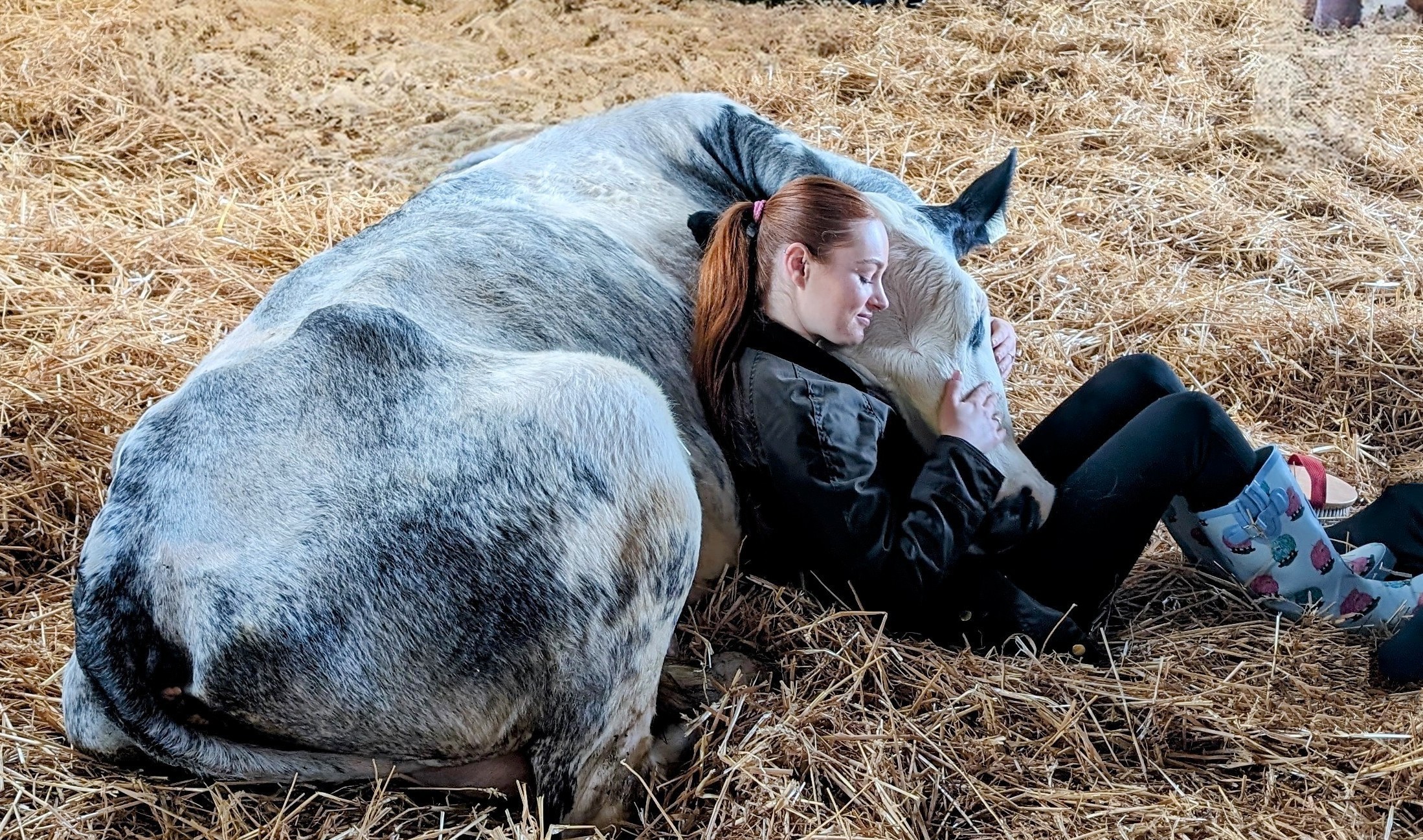 A guest cuddles a cow at Dumble Farm in Arram, England. (Fiona Wilson/Dumble Farm)