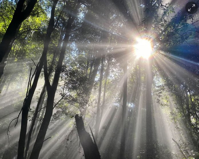 ‘Outdoor research is not a slippery slope to deployment. It’s how we make sure that any future decision is based on facts, not fear or wishful thinking.’ Photograph: Lisa Martin/AAP